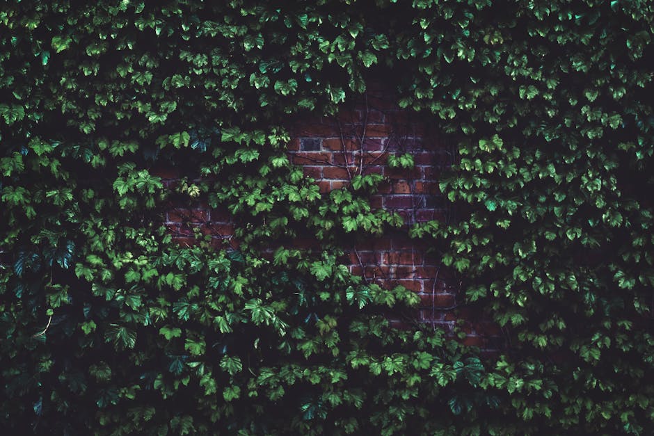 Elegant Ivy: Using Ivy Plants to Create a Green Accent Wall in Your Bedroom