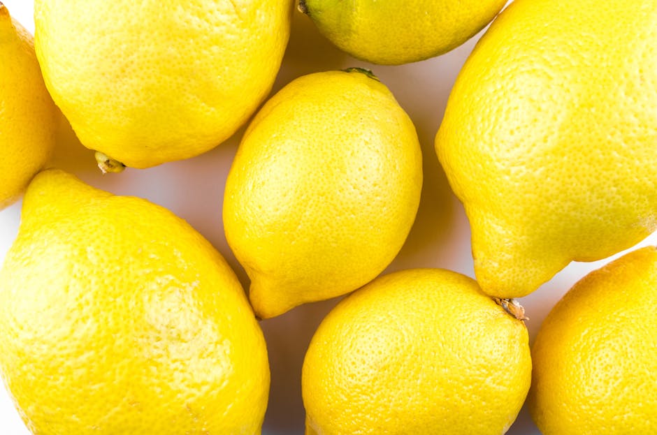 Lemon Tree Delight: Brightening Your Kitchen with Fresh Lemons