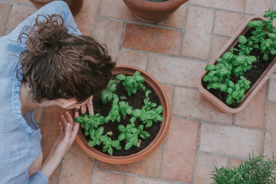 Patio Herb Garden with Basil, Mint, and Thyme